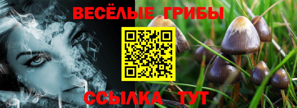 Белово  Галлюциногенные грибы прущие грибы  Вход с VPN  Галлюциногенные грибы Magic Shrooms 